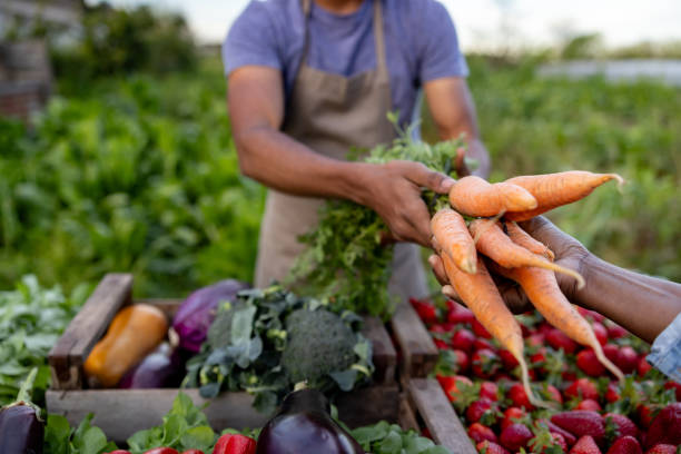 From Farm to Festival: How Agribusiness SMEs Can Maximize the Q3/Q4 Retail Shift